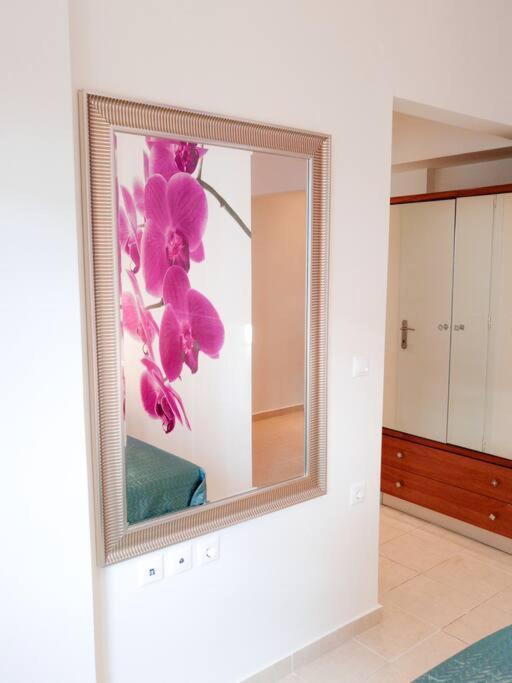 Orchid Apartment