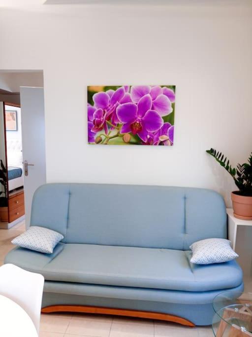 Orchid *