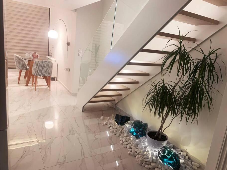 Apartment Orchid *
